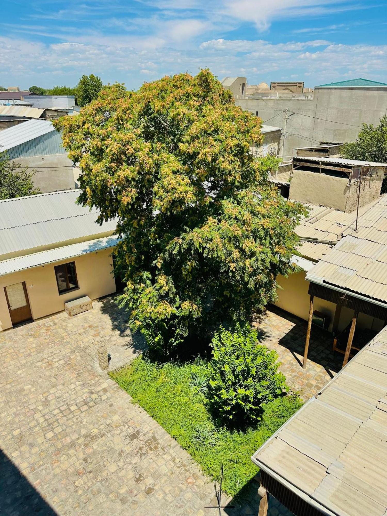 Dervish Hostel Boukhara Extérieur photo